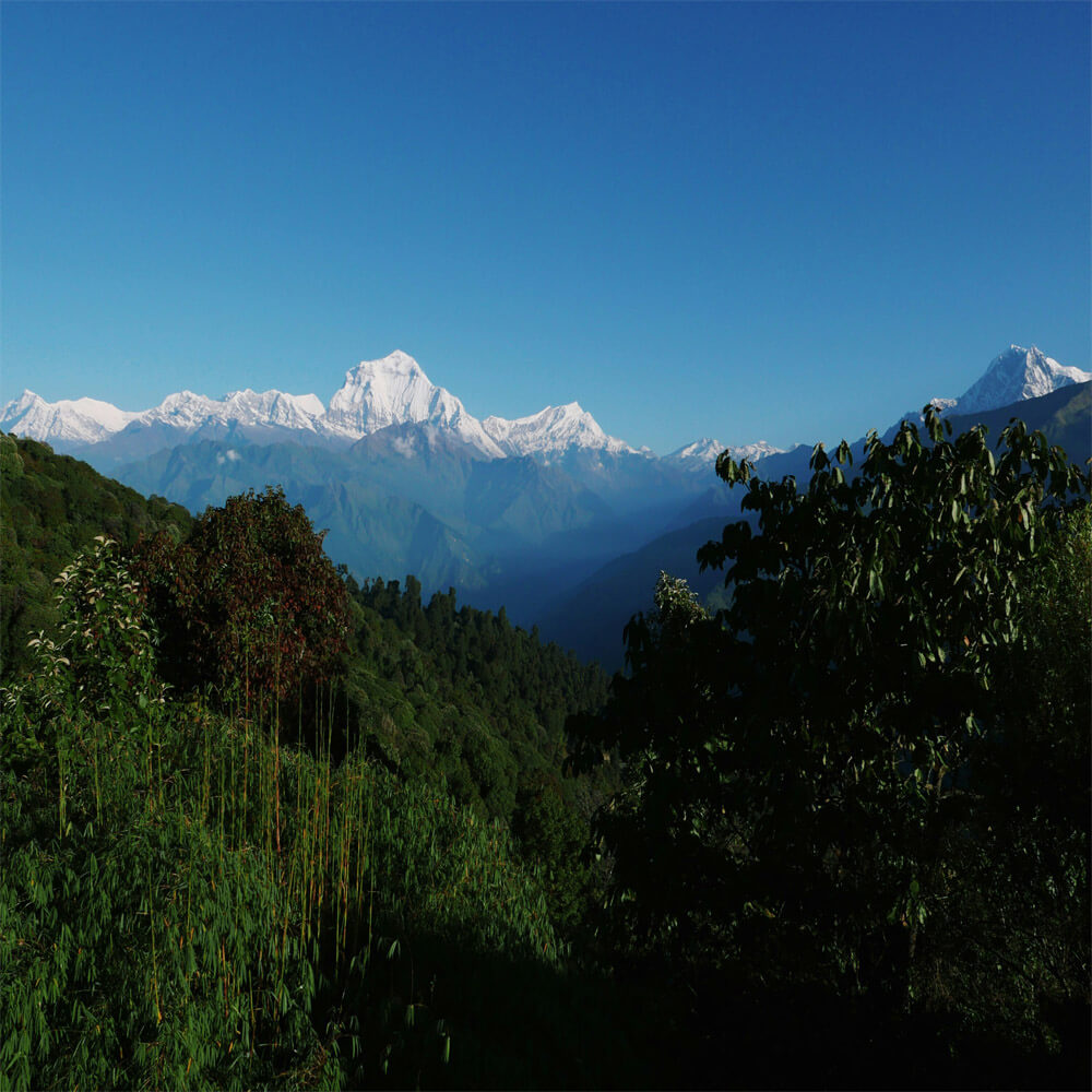 Himalaya Sunrise View Trek