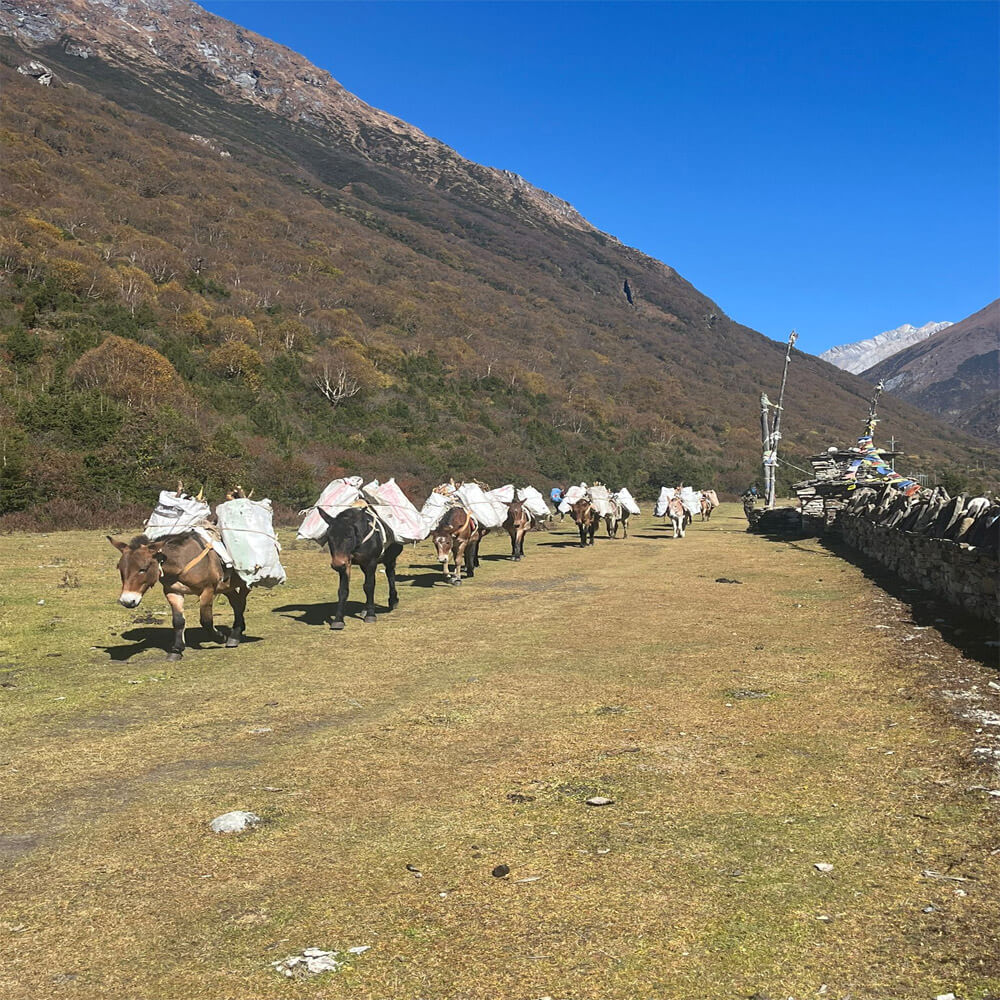 Manaslu Circuit Trekking Adventure