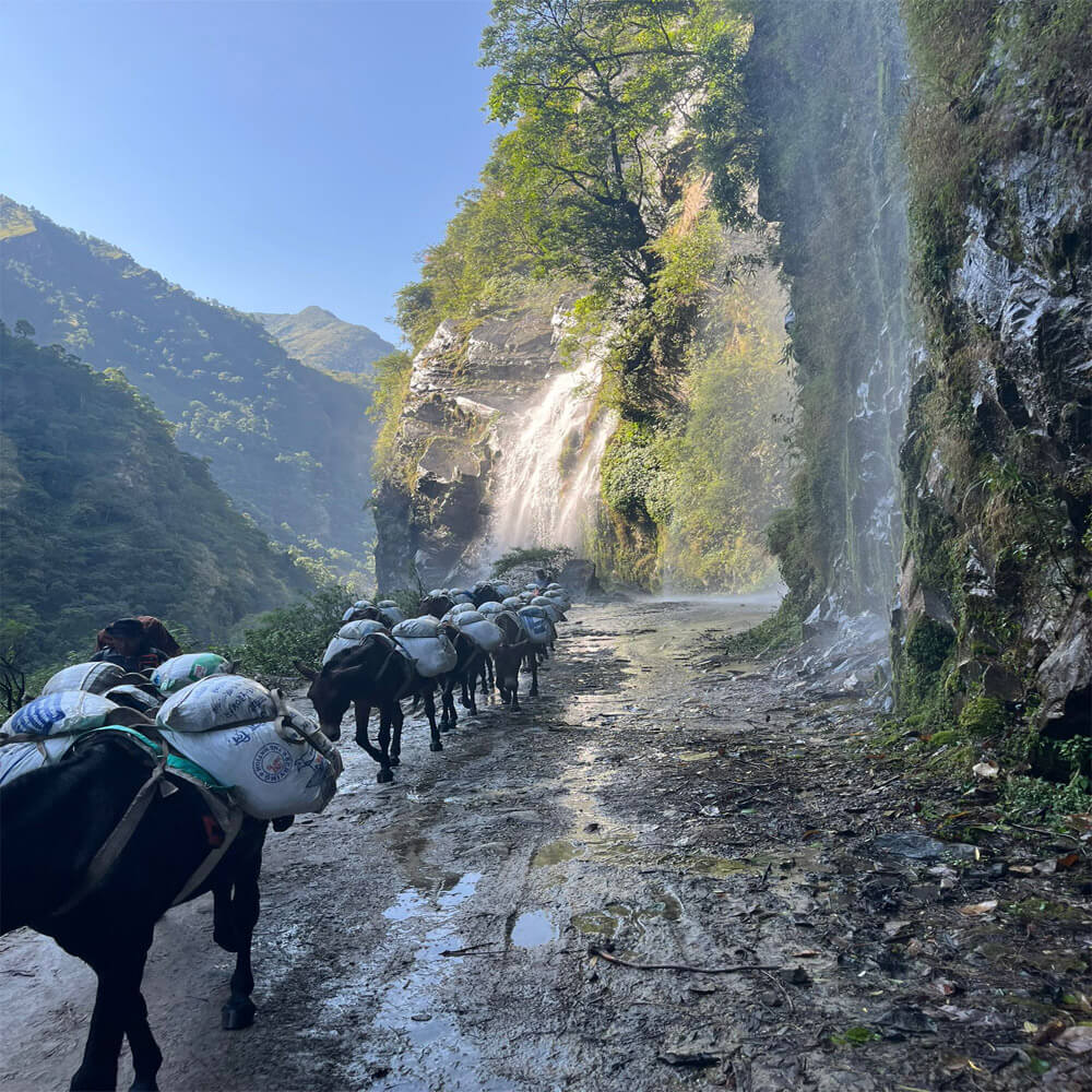 High Altitude Trekking Tips