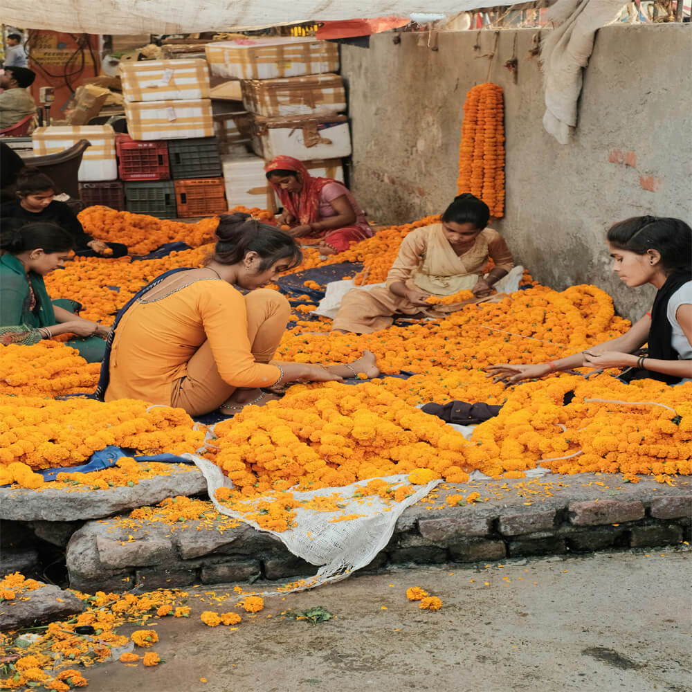 Himalayan cultural trekking