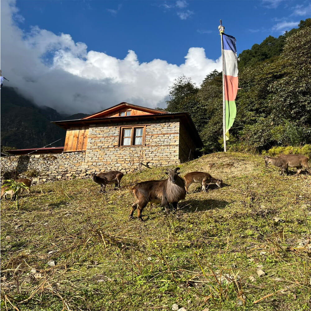 Manaslu Tsum Valley Trek Cost