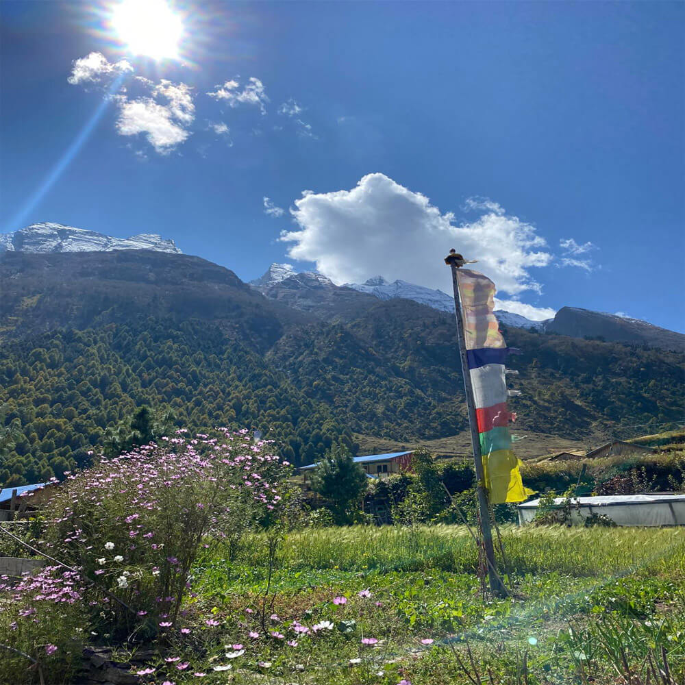 Trek Starts in Kathmandu