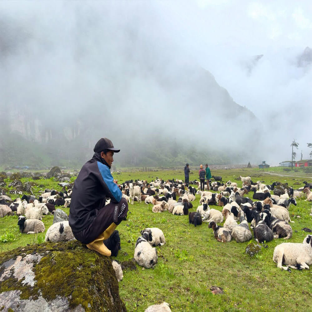 Makalu Base Camp Trek difficulty