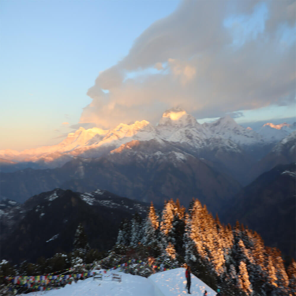 Ghorepani Ghandruk Trek cost