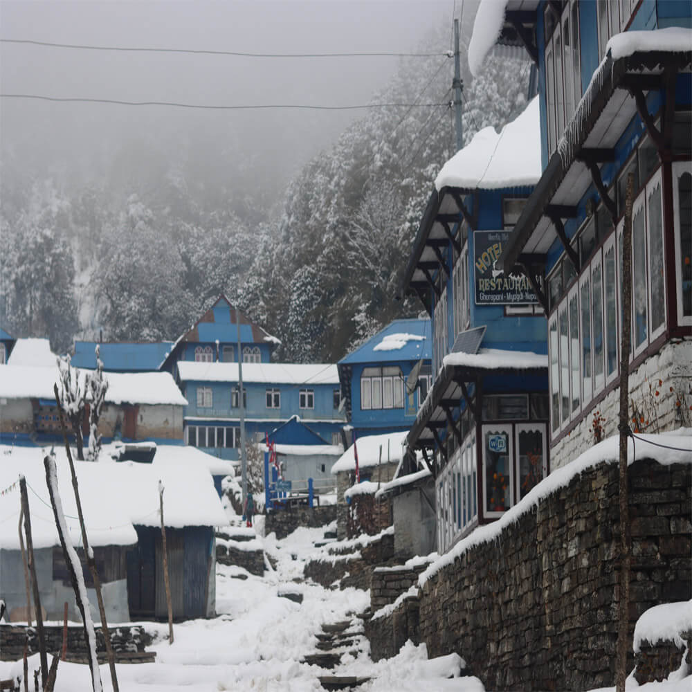 Ghorepani Ghandruk Trek cost