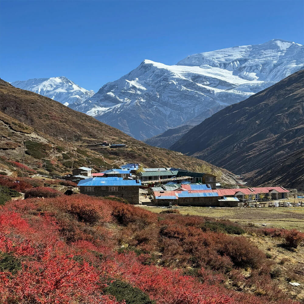 Annapurna Circuit Trek Highlights