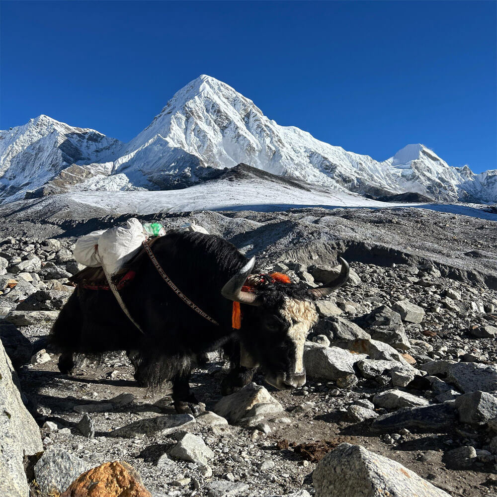 Best time for Everest Base Camp Sleeping Trek