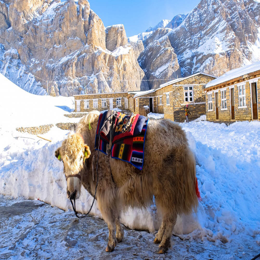 Best season for Tilicho Lake Trek